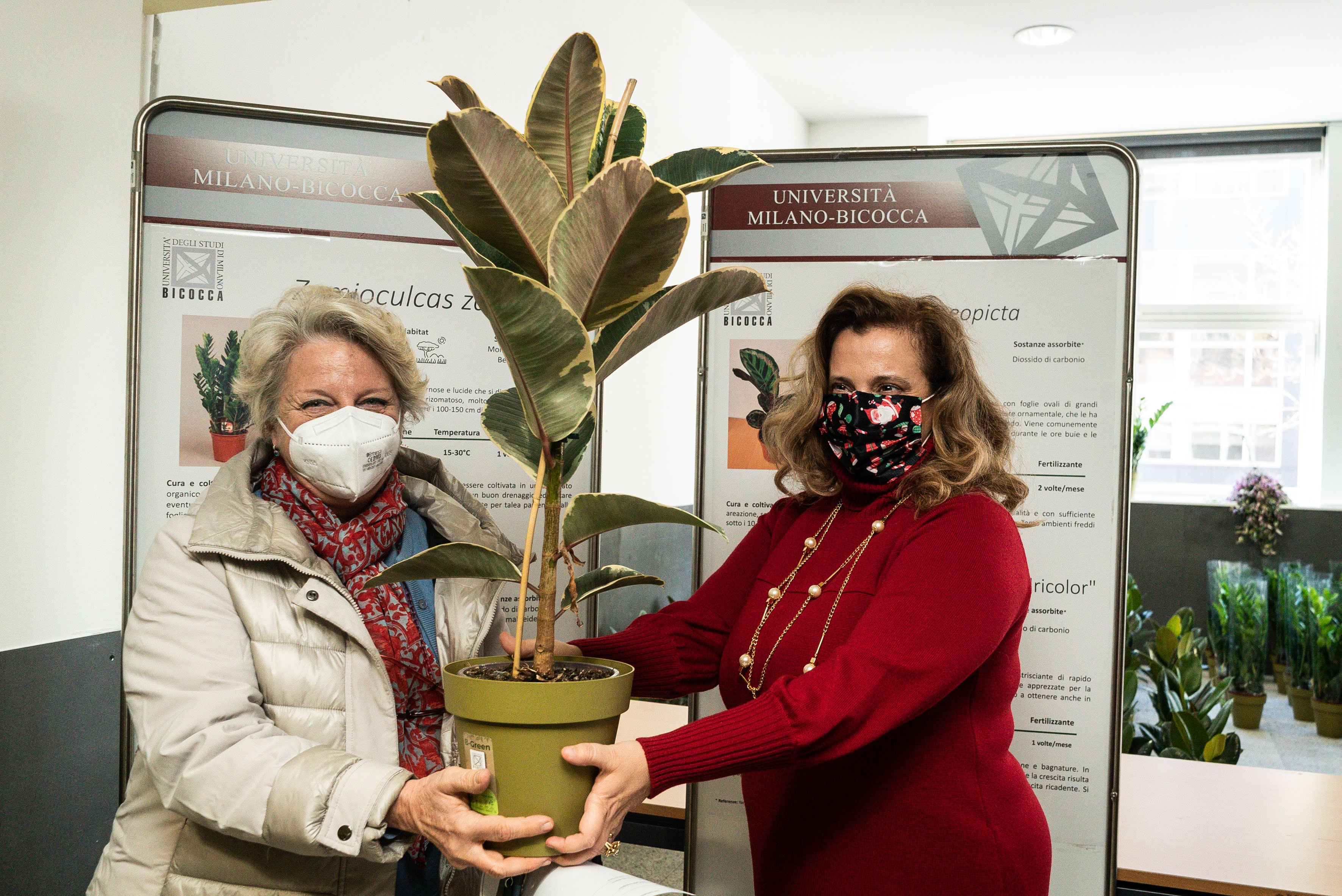 Luci e doni green per il Natale Bicocca - Bnews